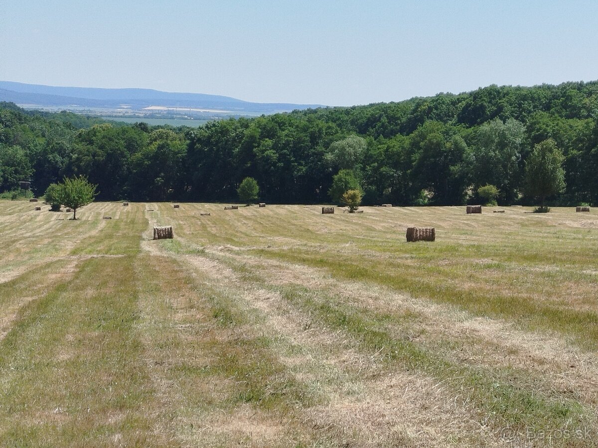 PREDAM VELKE BALIKY SENA - 3