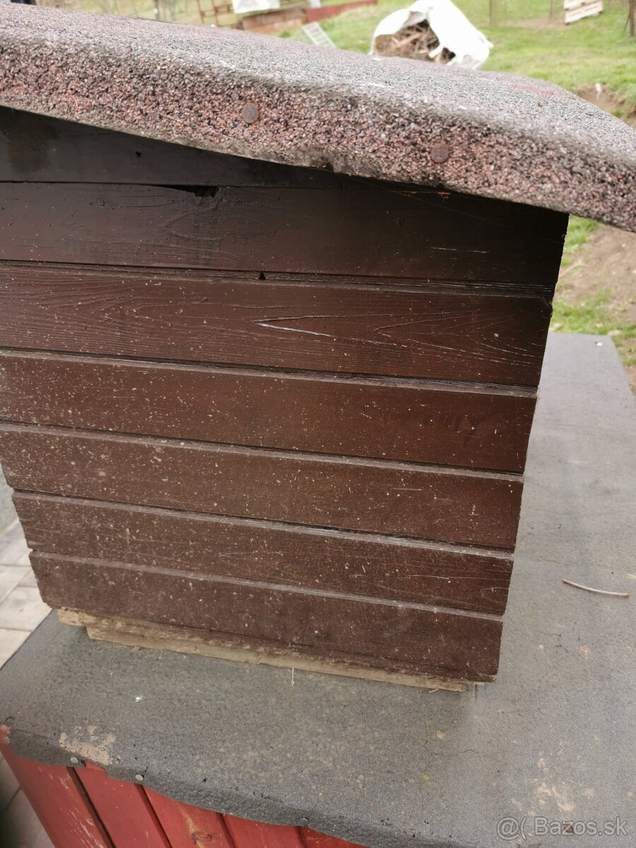 Psia búda - 3