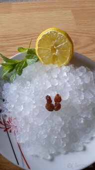 Vodny Kefir - 3