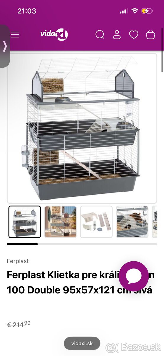 Minilop s rodokmeňom - 3