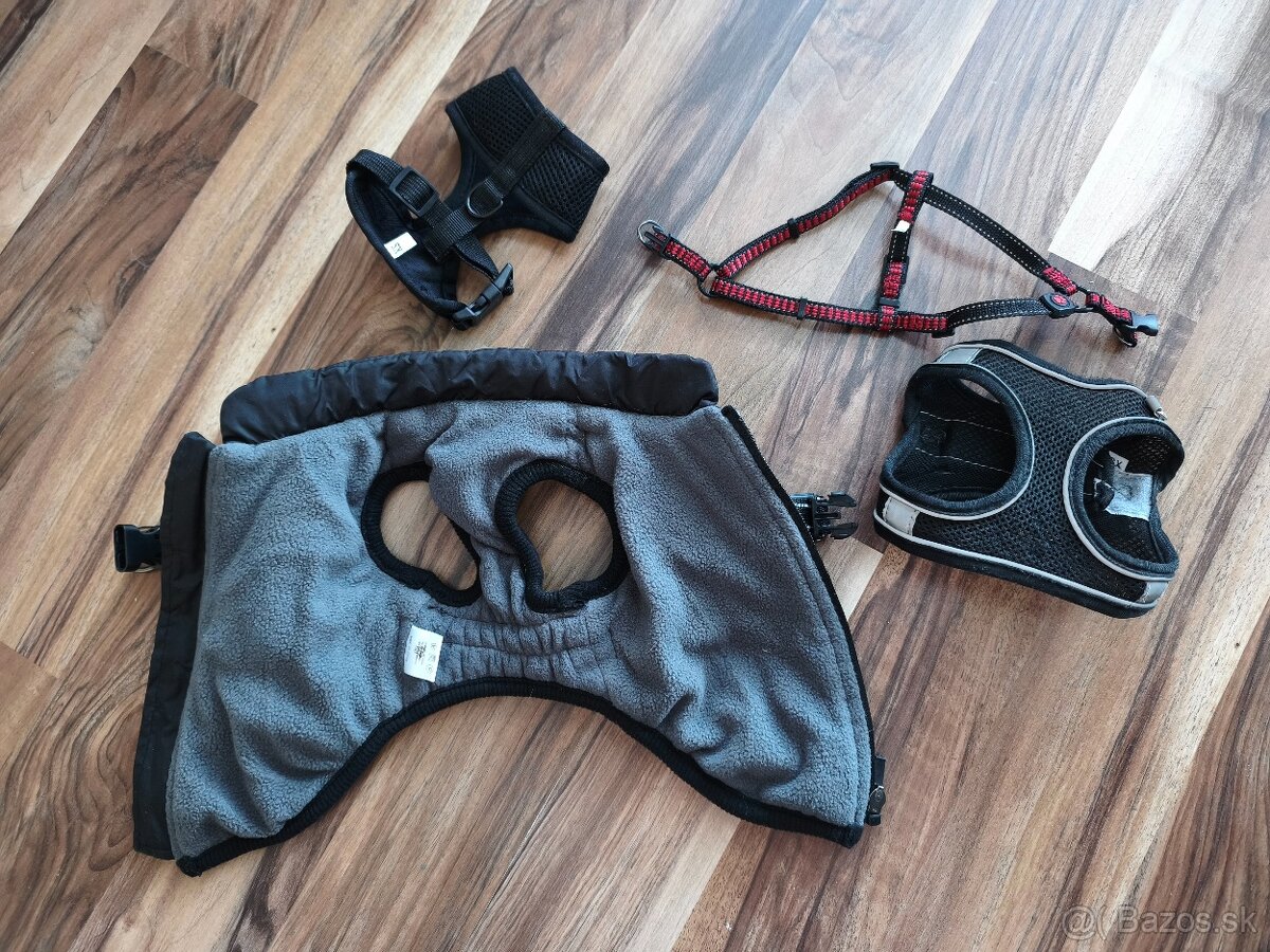 3 postroje a teplá bundička pre šteniatko malého plemena - 3