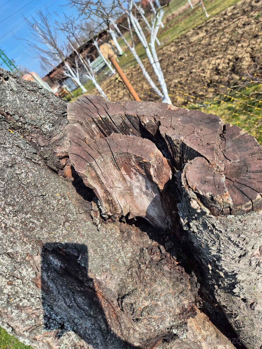 Čerešňove drevo - 3