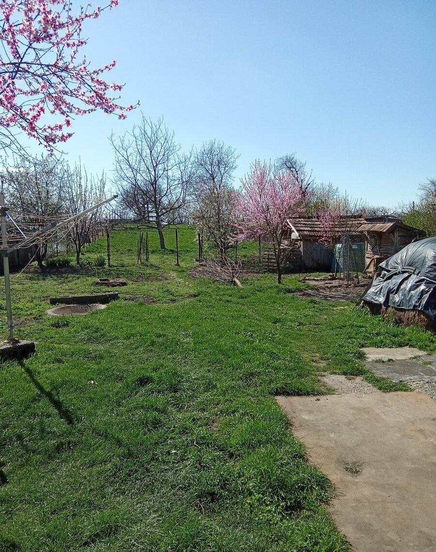 Na predaj romantická vidiecka chalupa - Zemianske Sady - 3