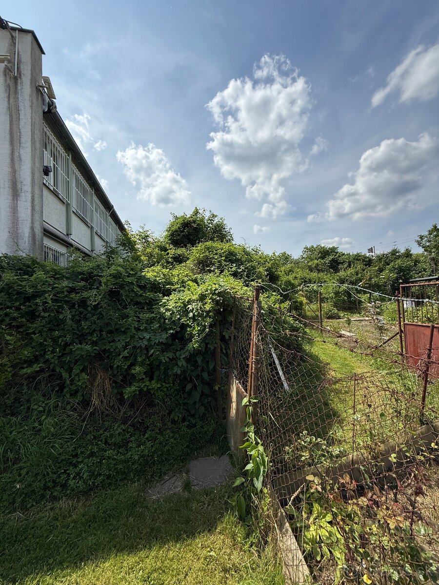 Záhrada na pestovanie nedaleko Námestia Biely kríž - 3