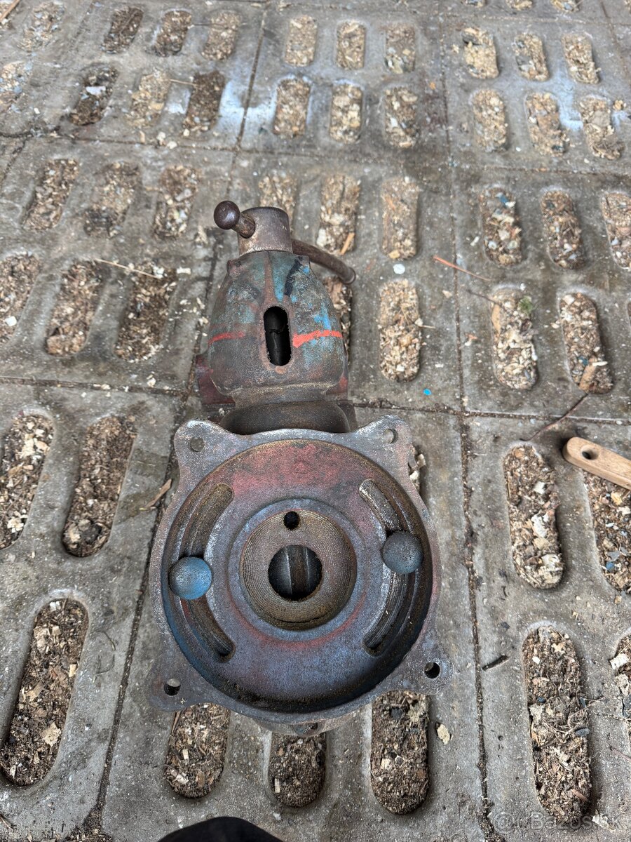 zverák york 150 - 3