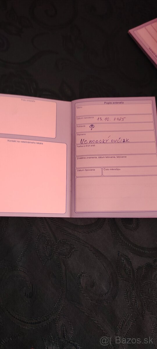 Nemecký ovčiak - 3