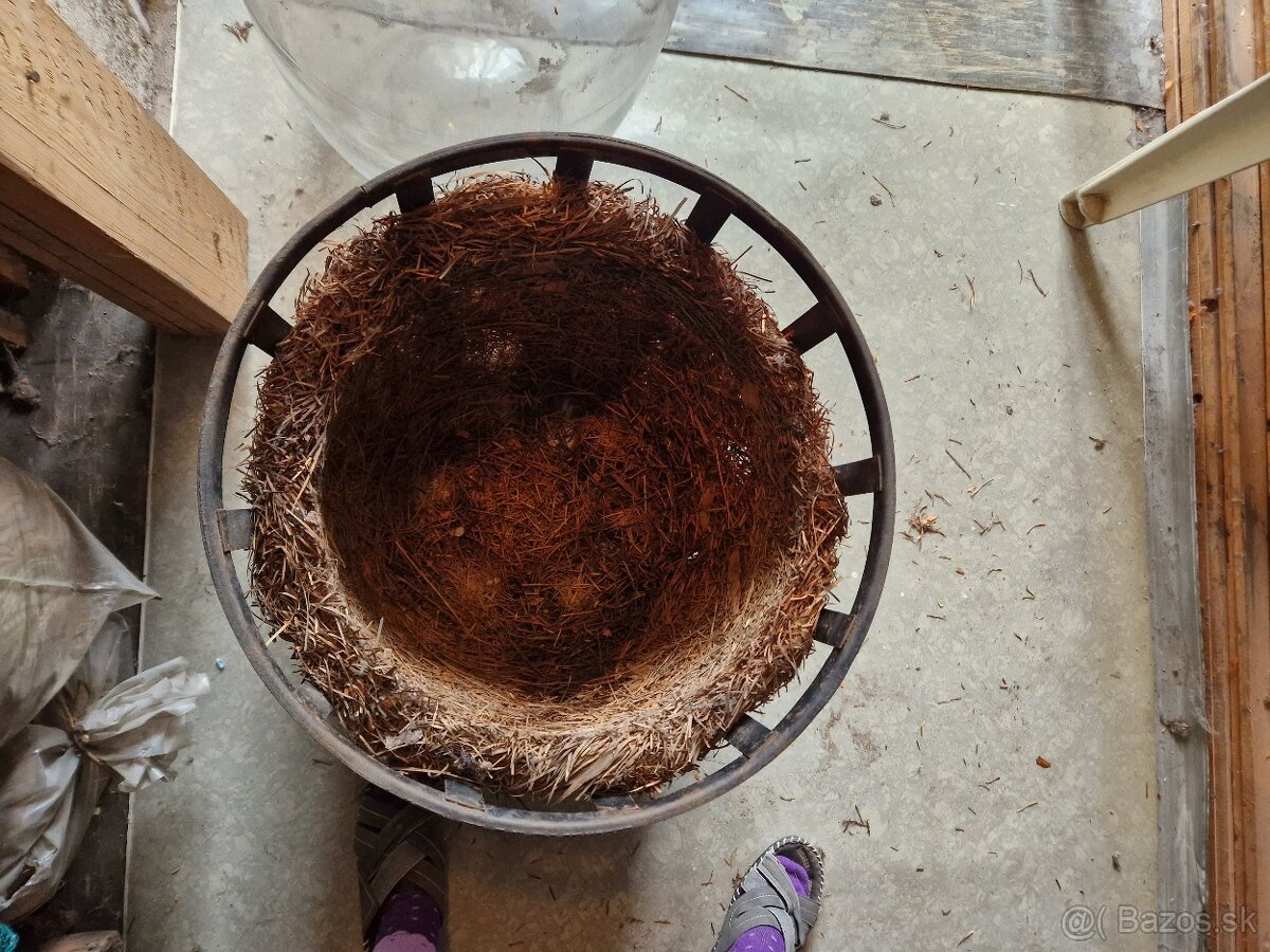 3x demizony + kos - 3