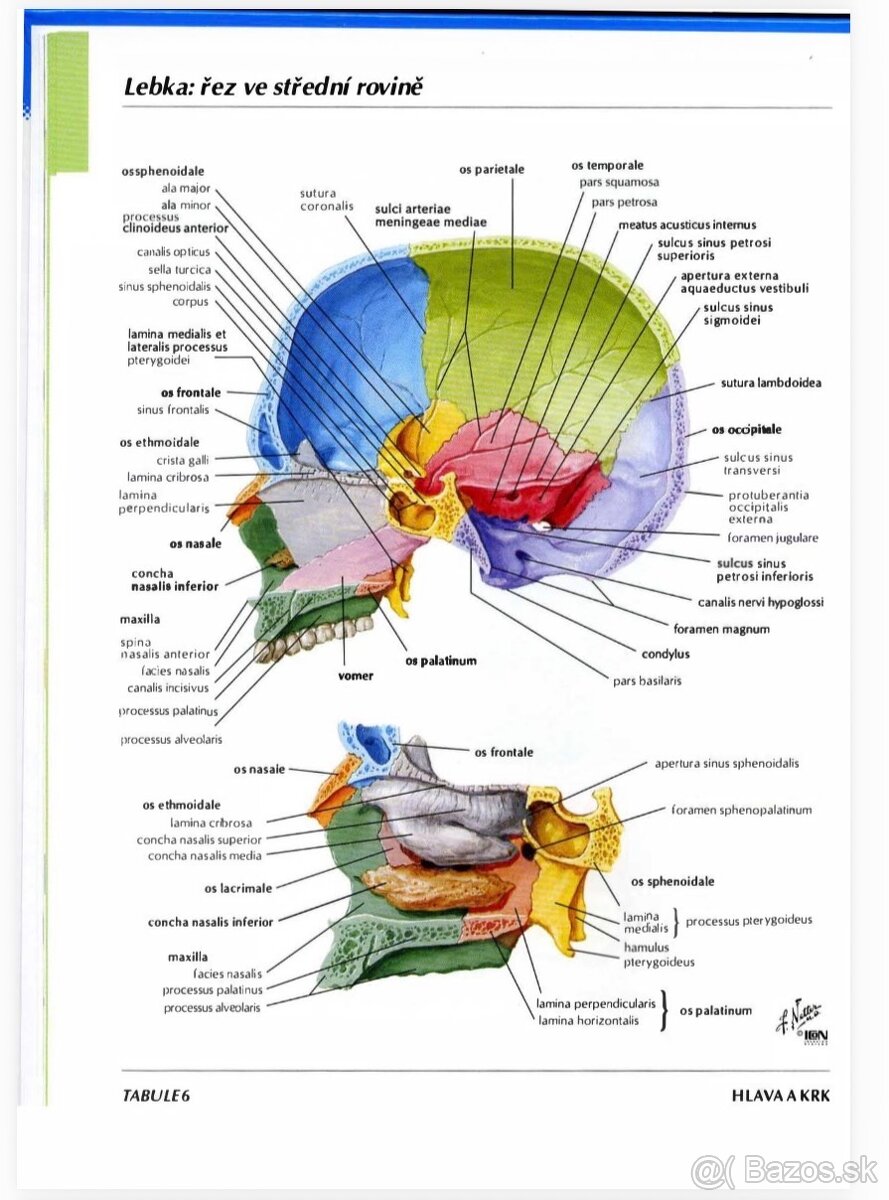 Anatomické knihy pre medikov - 3