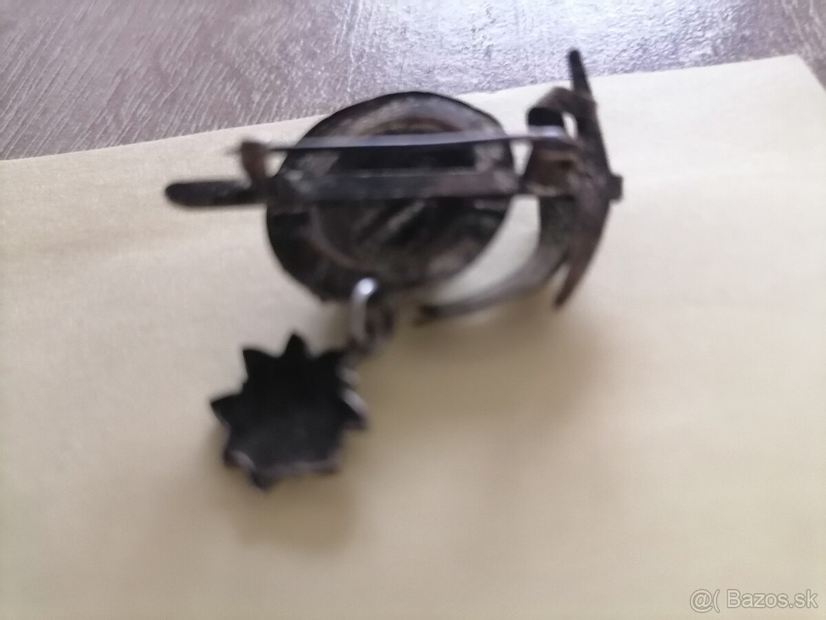 Predam starý odznak alpska protež Edelweiss - 3