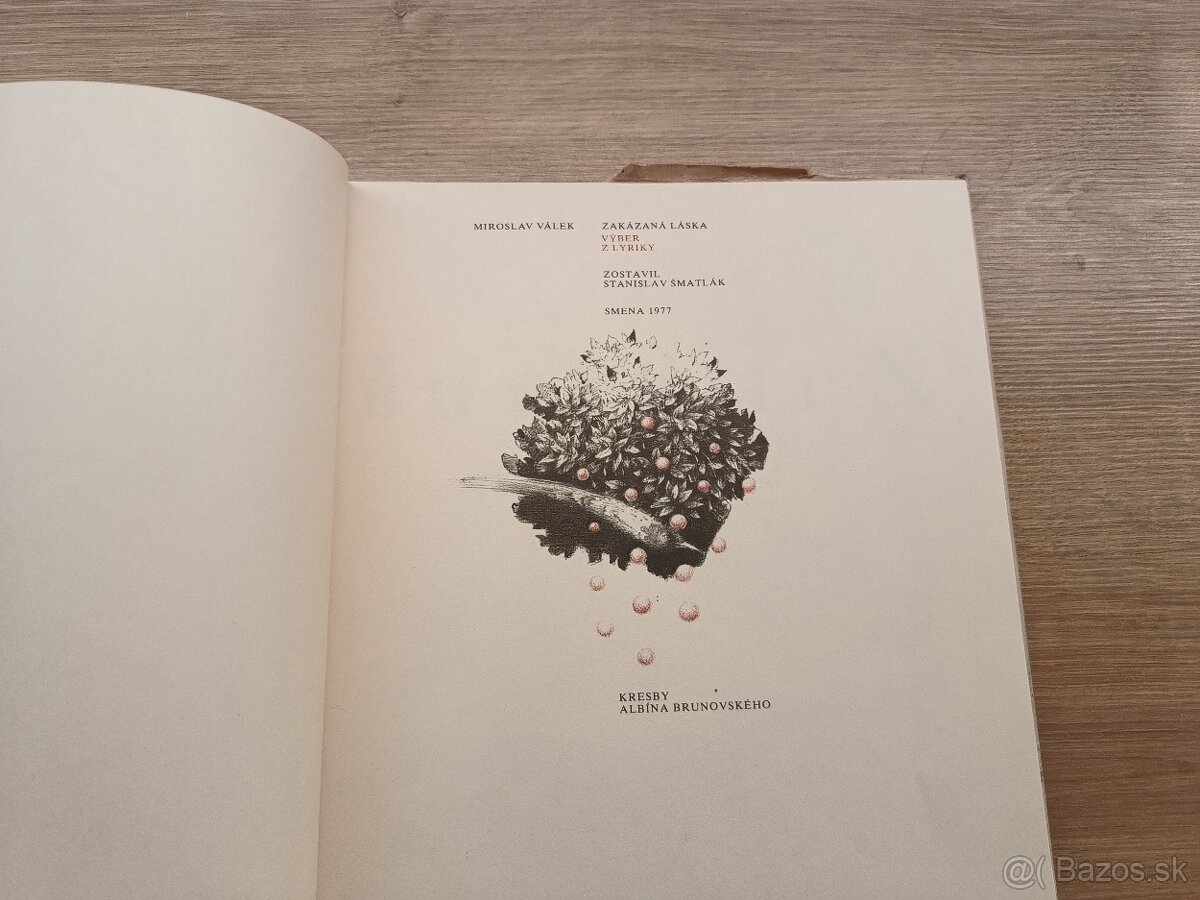 Miroslav Válek: Zakázaná láska, Brunovský 1977 - 3