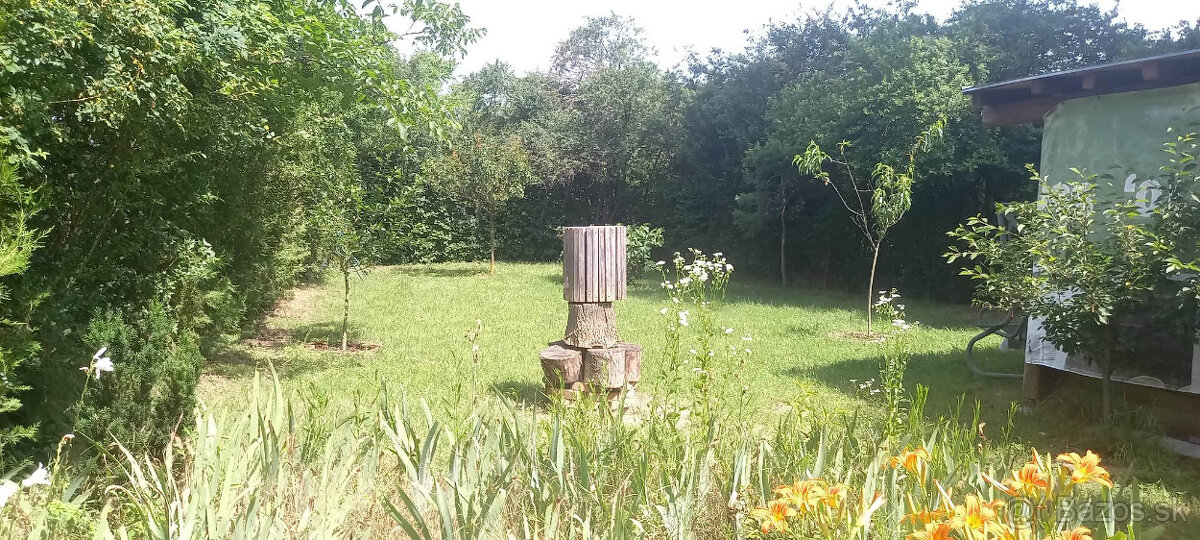 Záhradka v Seredi - 3