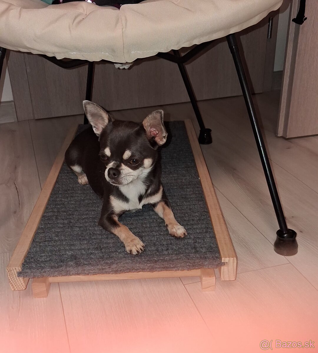 Psik civava na krytie - 3