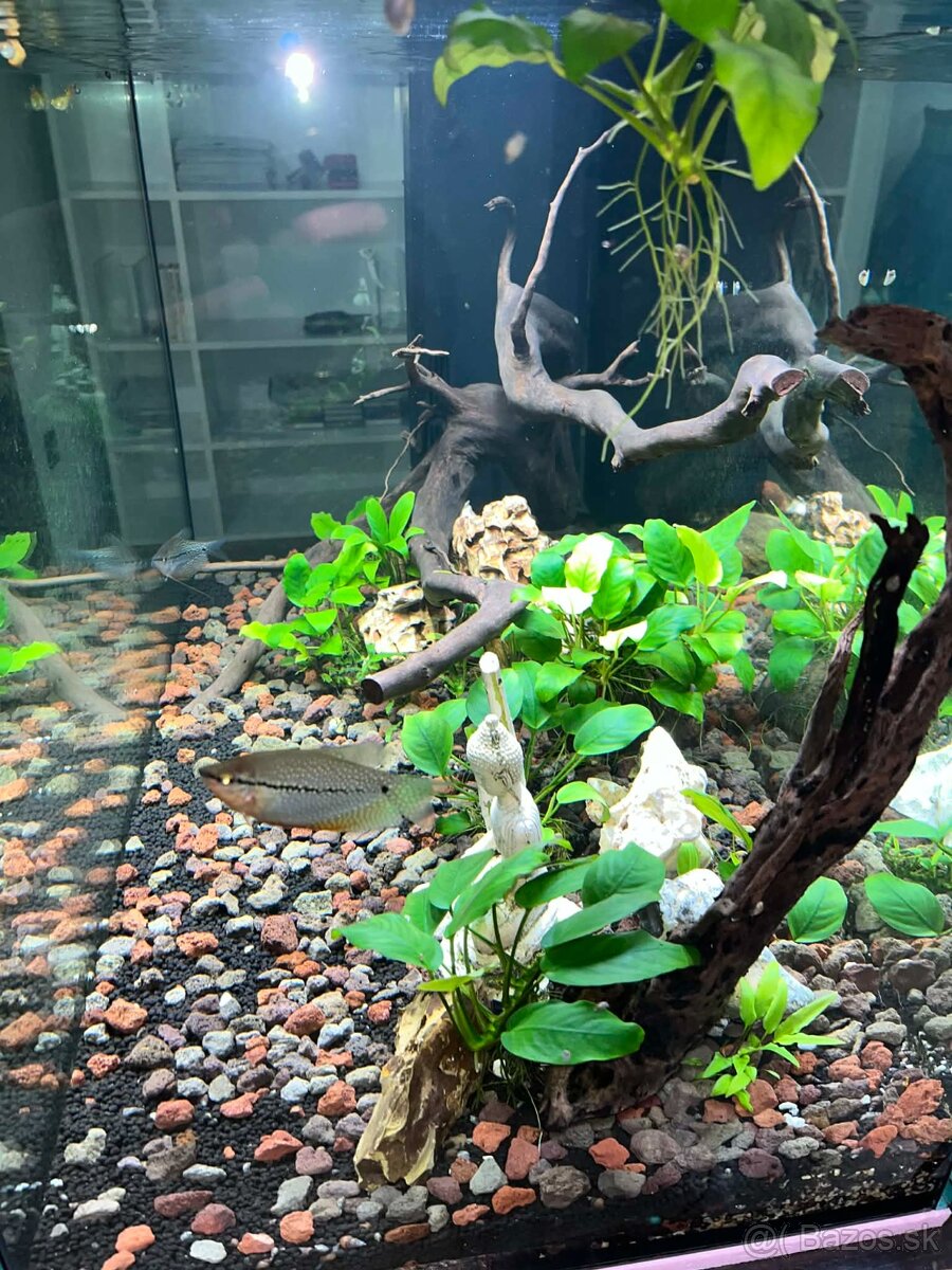 Predám akváriový set - 3