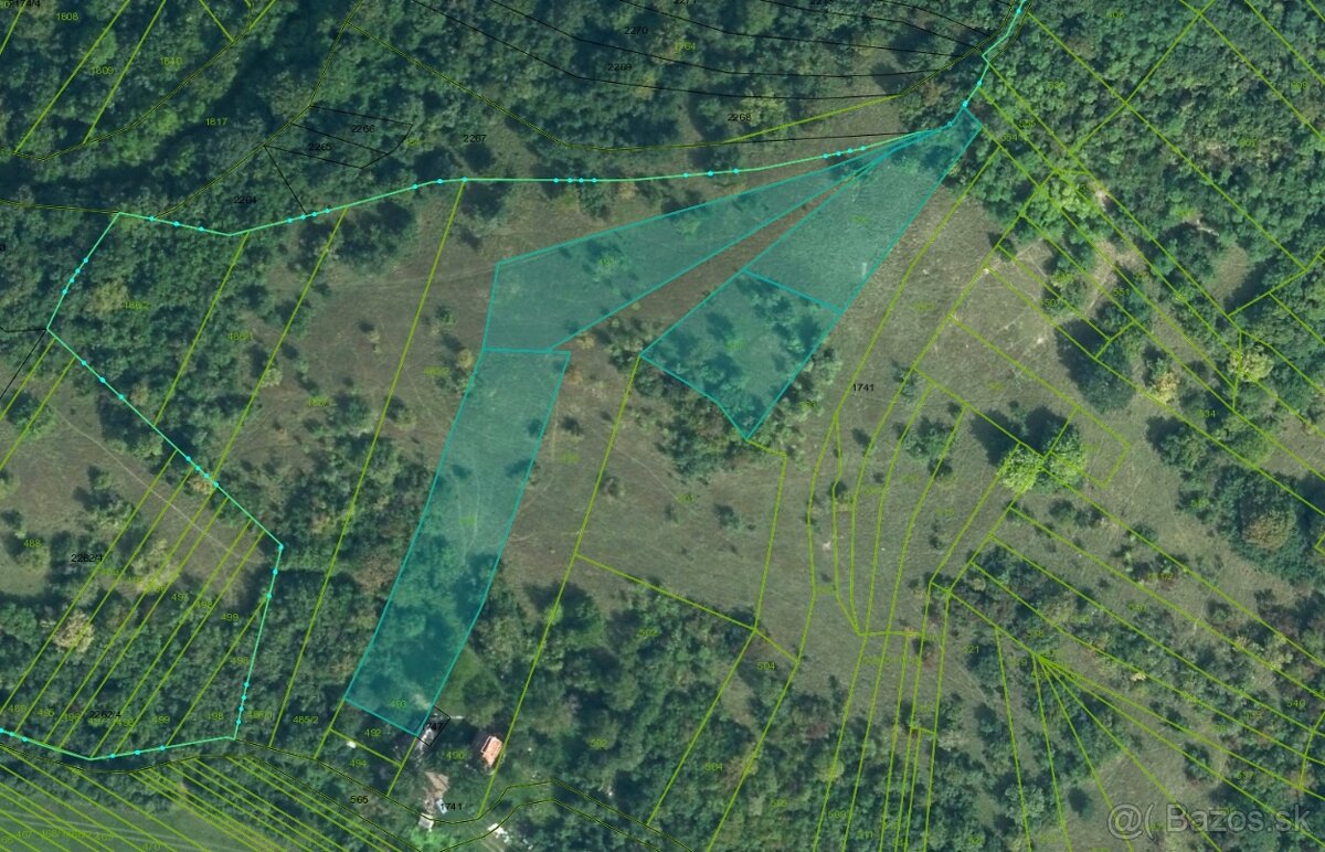Veľký Blh - 503 m2 PÔDA a LESY – PREDAJ - 3