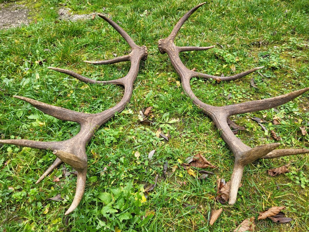 Parozie,parohy,zhody - 3