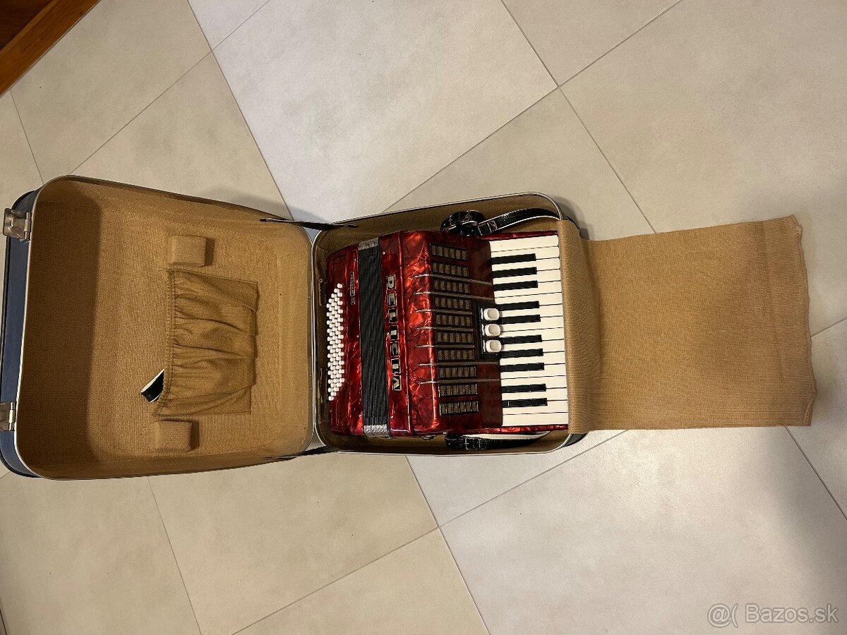 harmonika Delicia Junior IV, s originalnym púzdrom - 3