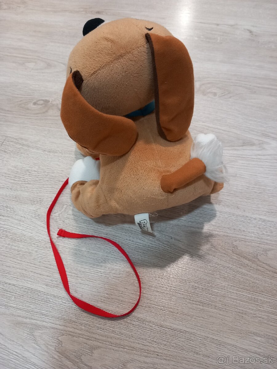 Predám floppy psa - 3