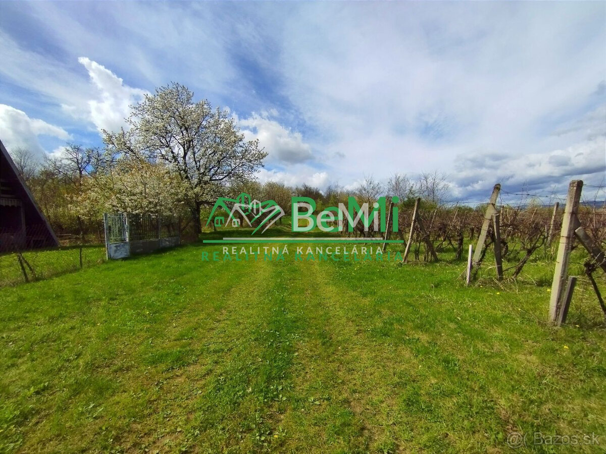 Vinica-Slovenské Kľačany-predaj - 3