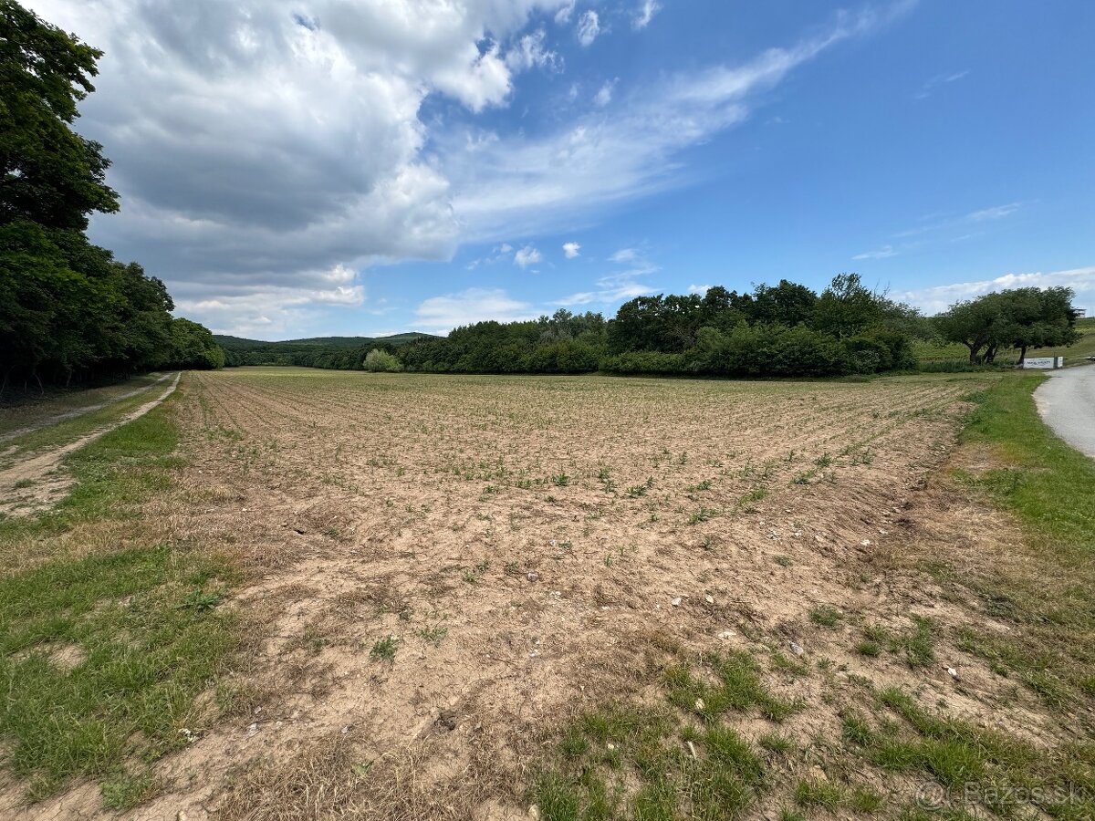 Hatfa - bývale kúpele v obci Viničky - 3