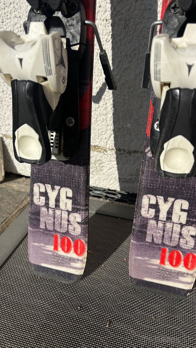 detské lyže Cygnus 100cm - 3