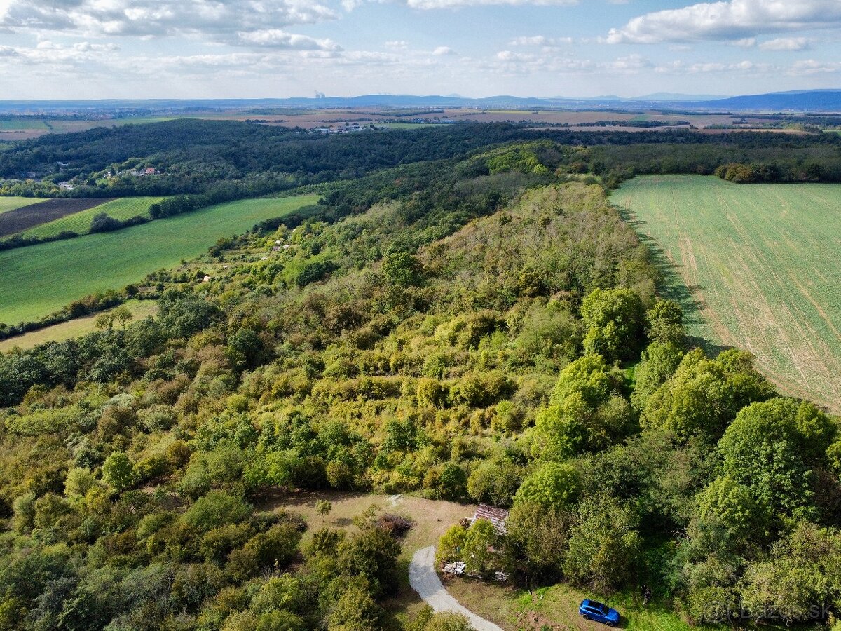 Kúp si svoj vlastný kúsok lesa – 6,82 ha prírody čaká na teb - 3