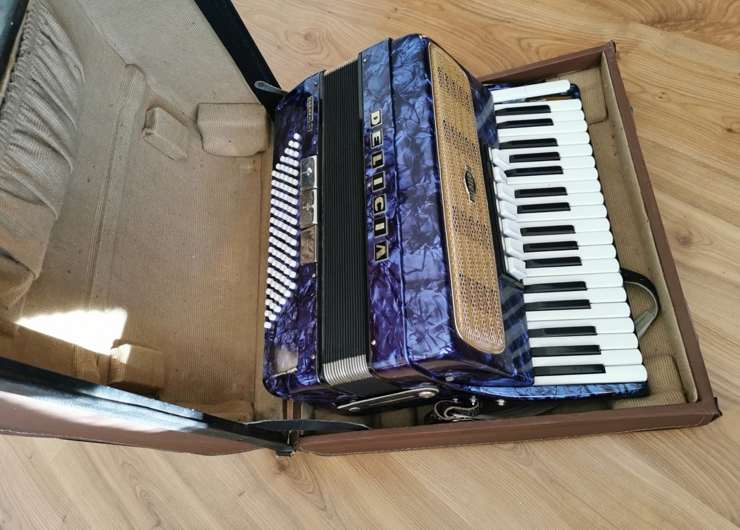 Harmonika Delicia Carmen III - 3