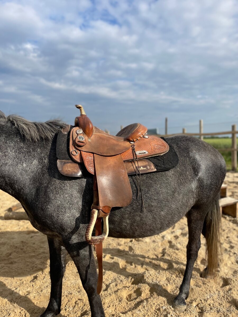 Westernové sedlo-SÚRNE - 3