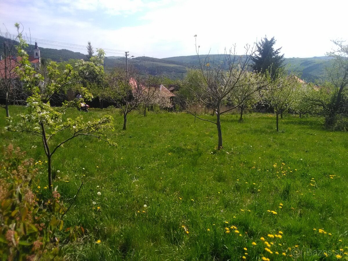 Čistenie a úpravy pozemkov - 3