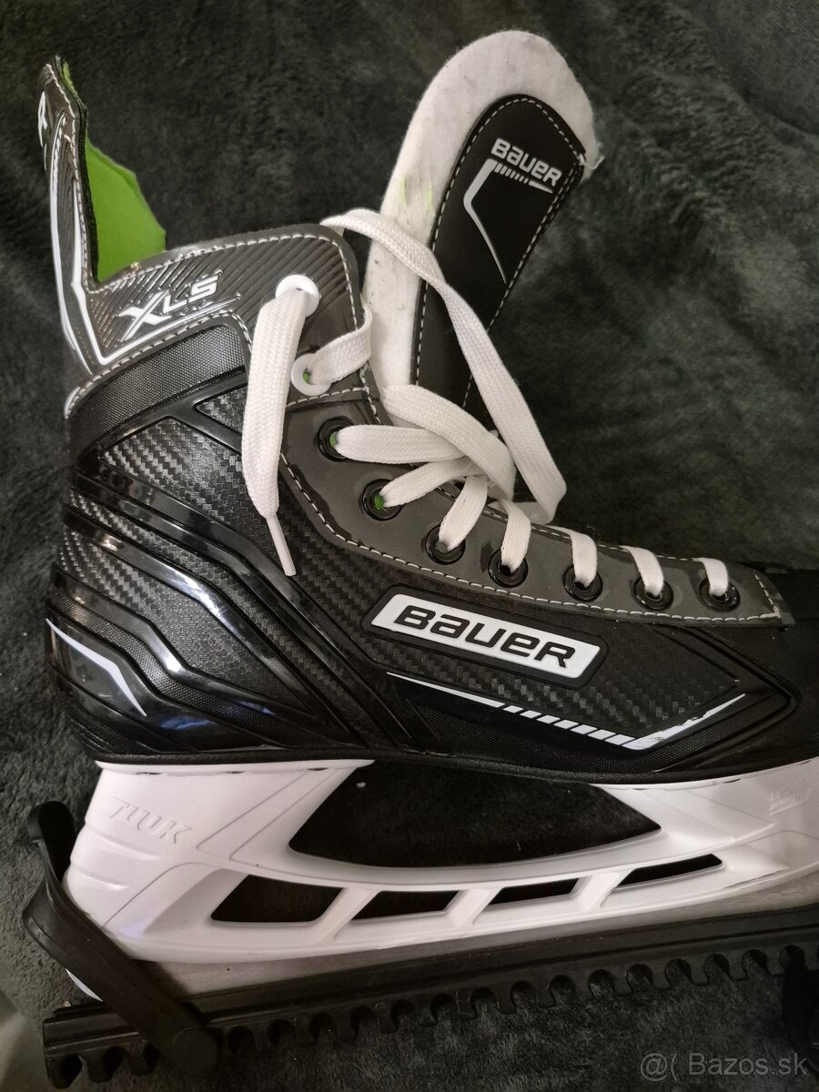 Korčule Bauer x LS - 3