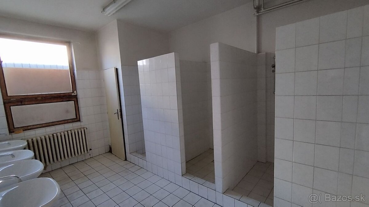 Predaj: Výrobná hala s kompletným zázemím v monitorovanom ar - 3