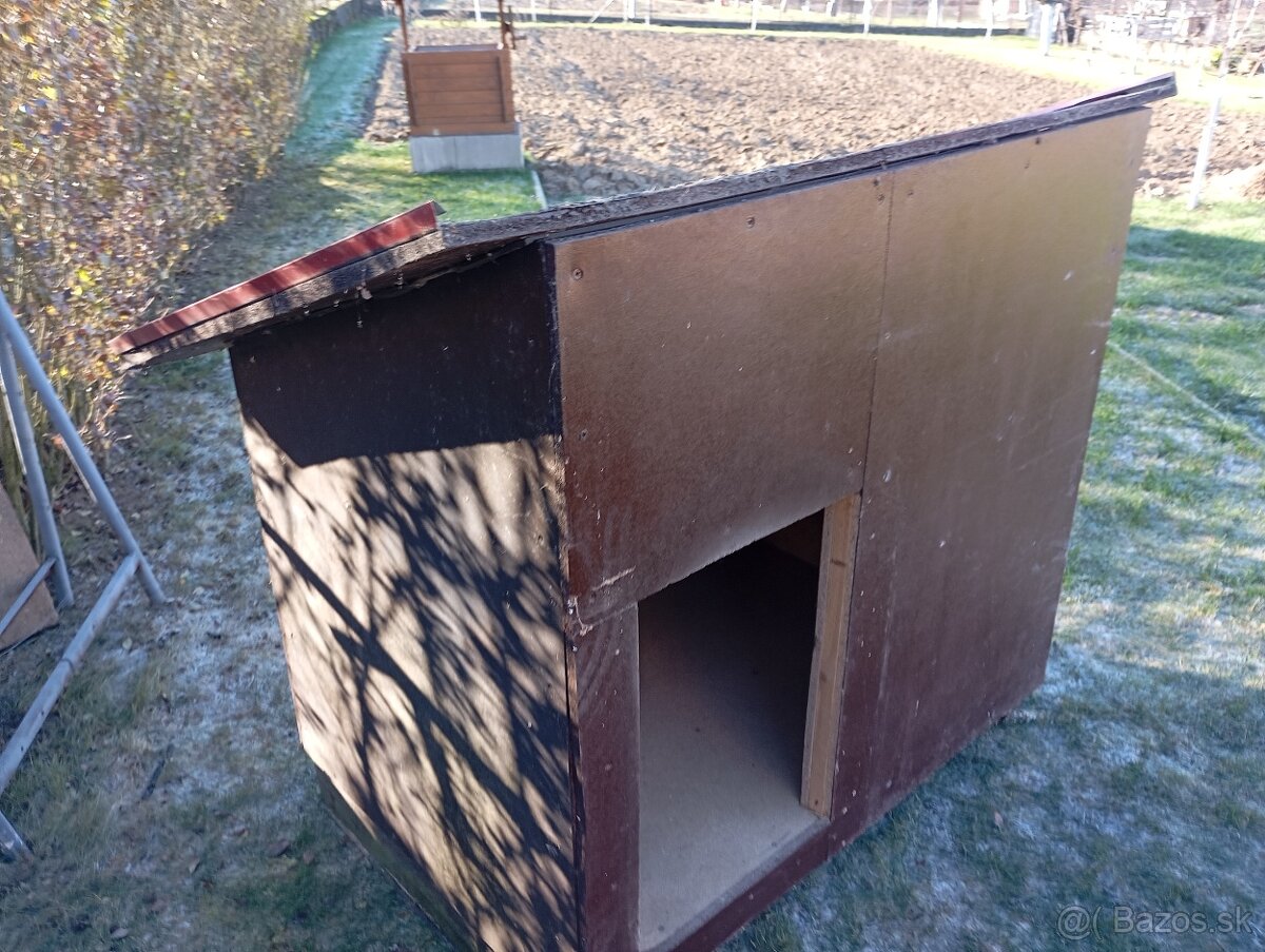 Darujem búdu pre psa. - 3