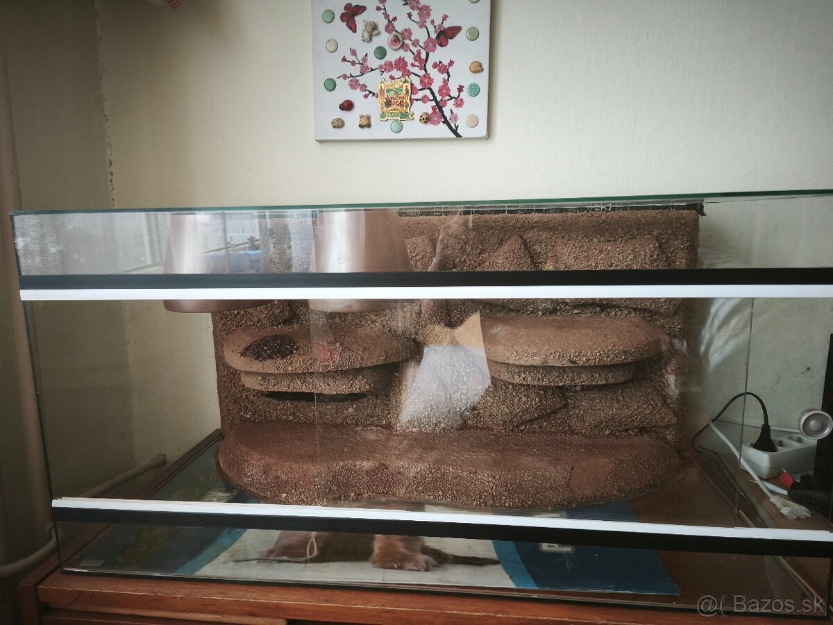 Predám terarium - 3