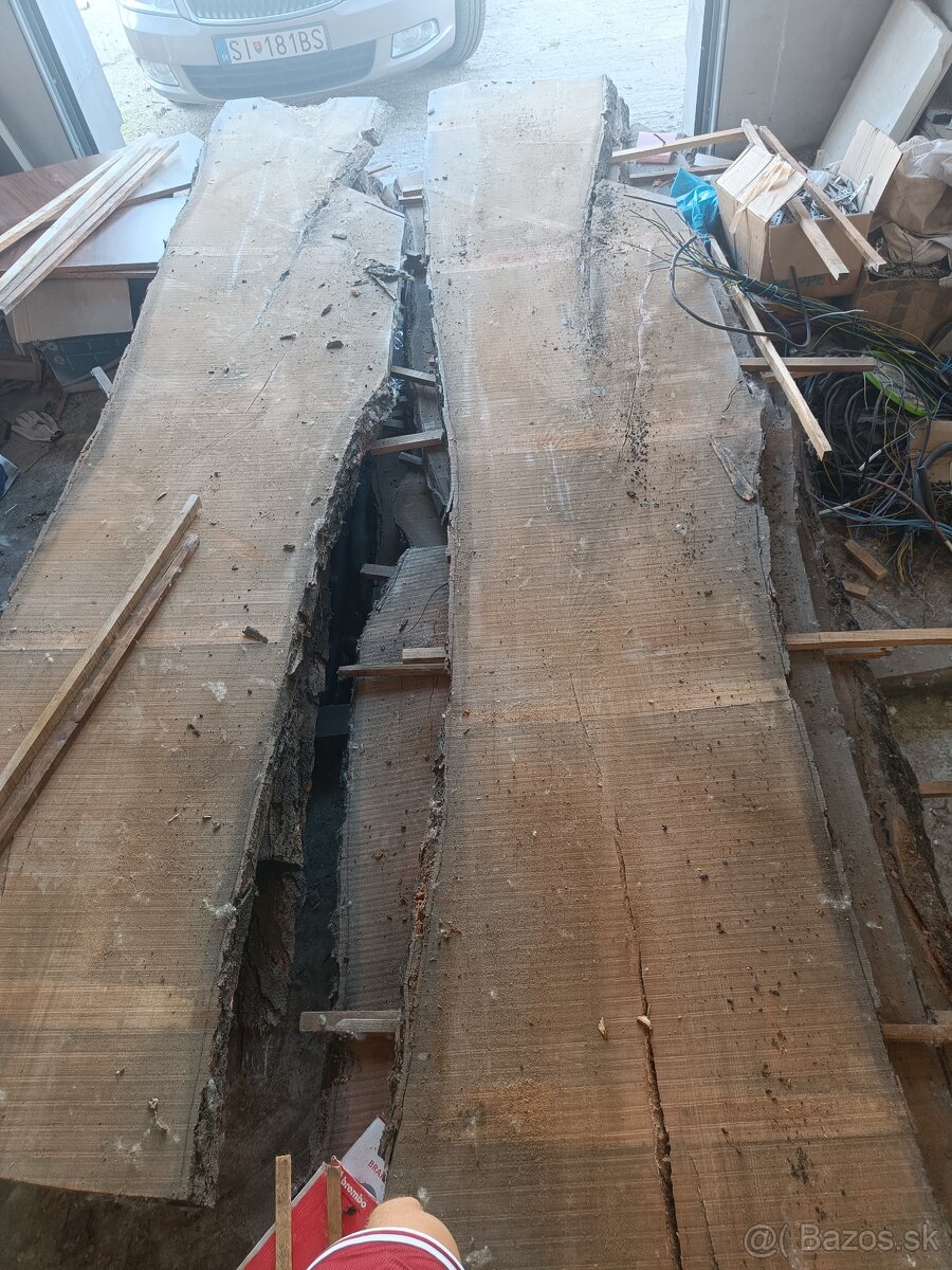 Japonská sophora - fošne - 3