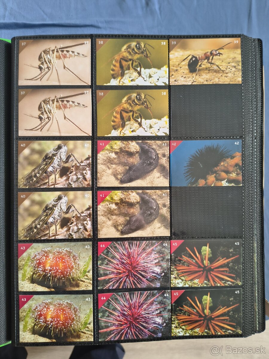 Vymením nalepky - 3