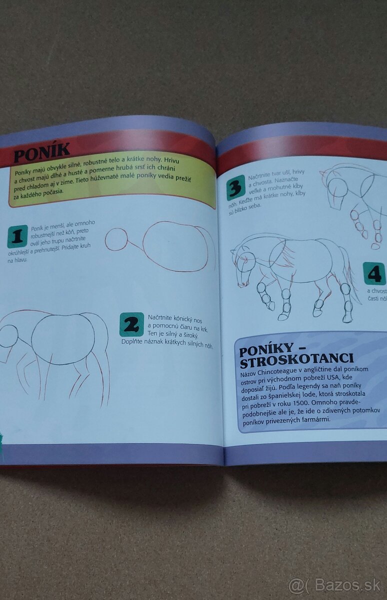 Kreslíme dinosaury - 3