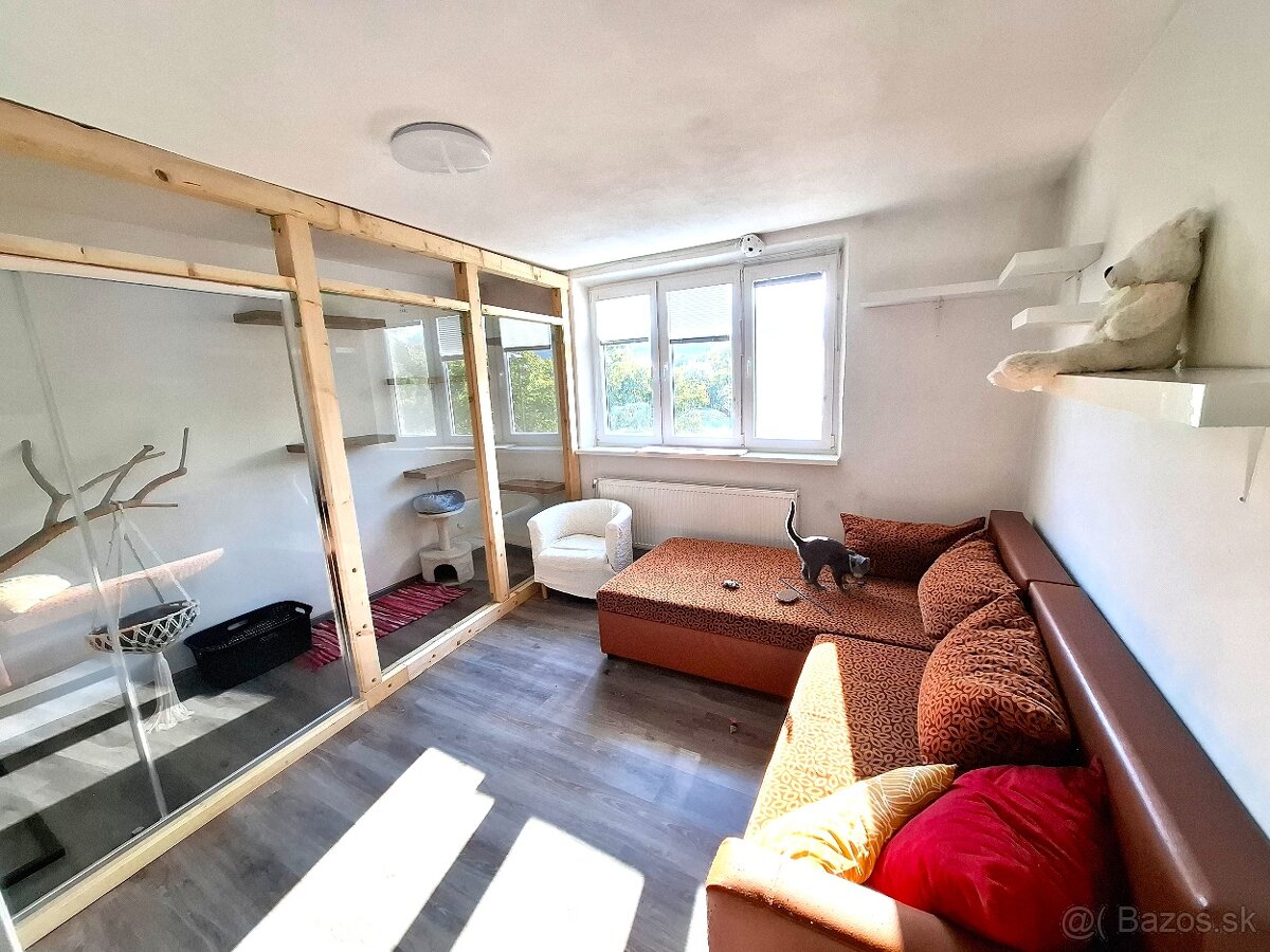 Hotel pre mačky - 3