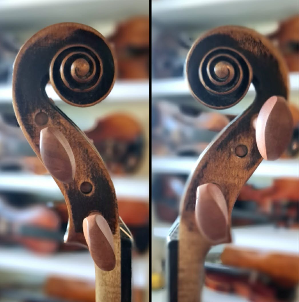 Husle 4/4 model Paolo Maggini - 3