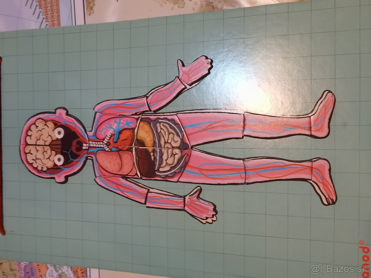 Predám ľudské telo magnety - 3