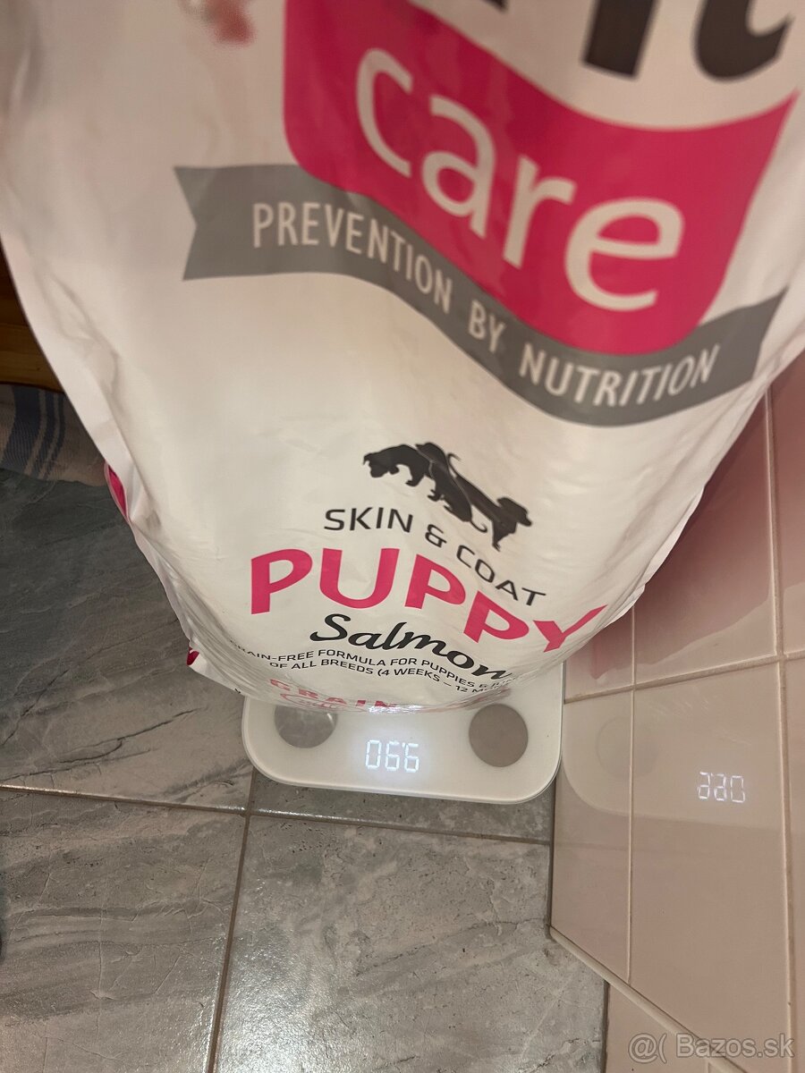 Granule brit puppy - 3