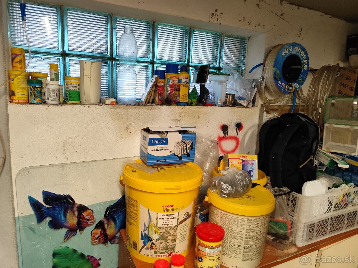 Predám chovnu - 3