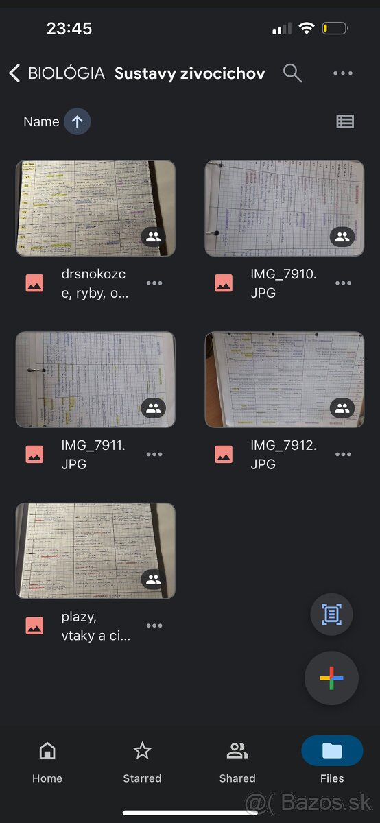 Maturitné otázky BIOLÓGIA - 3