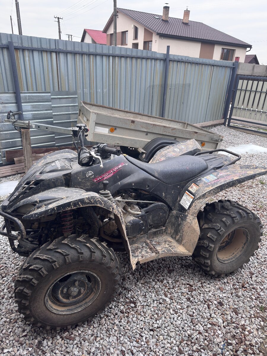 Yamaha Wolverine 450 - 3
