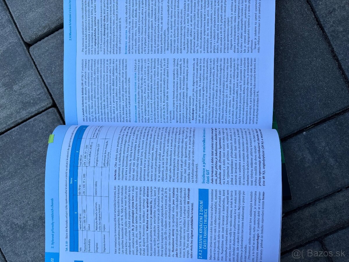 Interna Richard Češka - 3