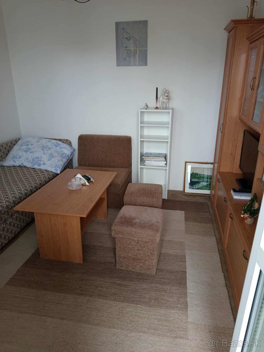 Prenajmem 1 izbový byt s lodžiou na Terase - 3