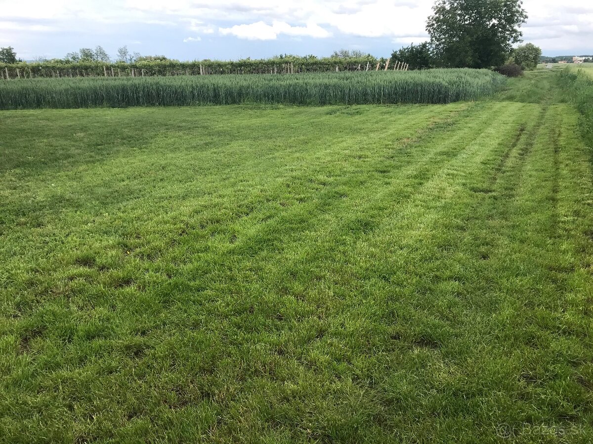 Predám pozemok vo vinicnej časti - 3