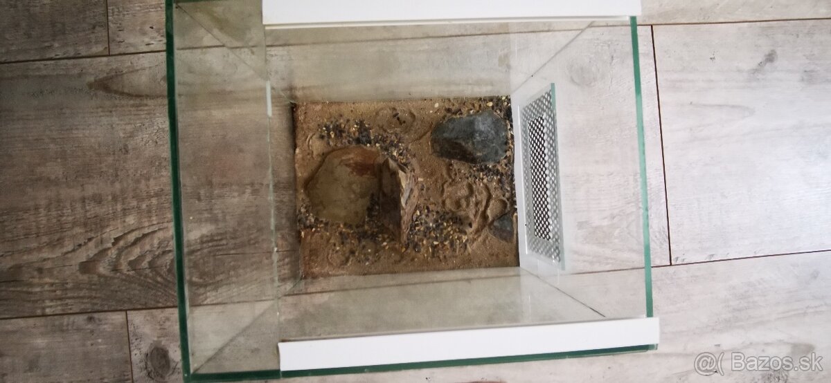 Terária s 3d stenou - 3