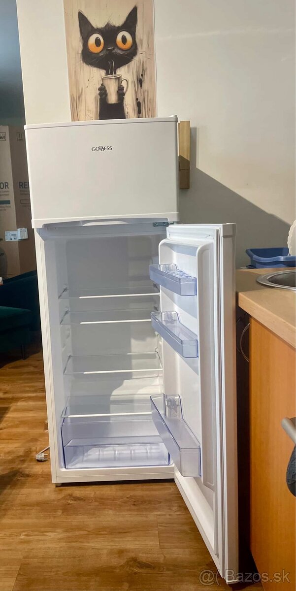 Chladnicka s mraznickou Goddes - 3