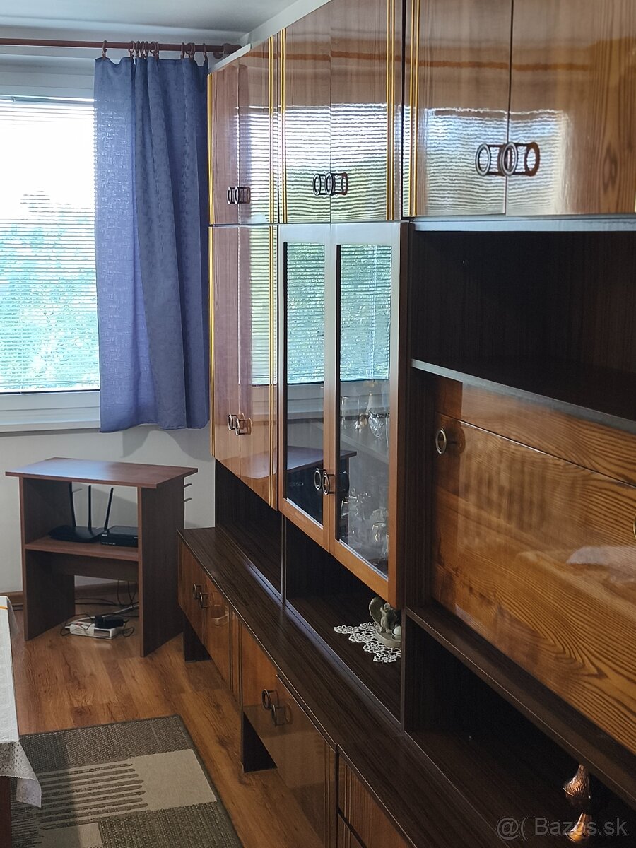 Prenajmem 1,5 izb. byt - 3