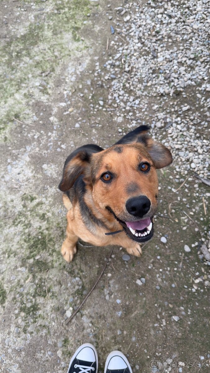 Darujeme fenku ❤️ - 3