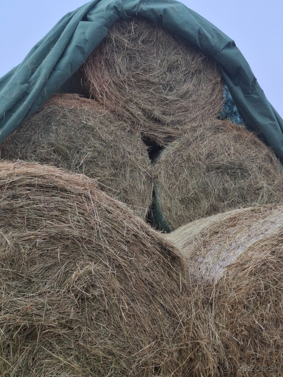 Seno-slama-pšenica - 3